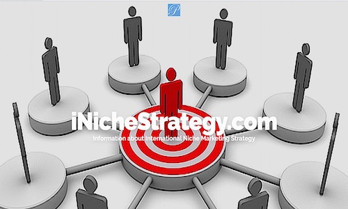 SNS INT BUS NICHE   WEB copy