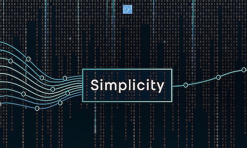 SNS INT SIMPLE   side 500x300